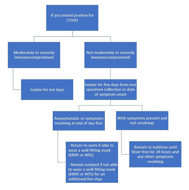 Flowchart depicting what to do if you test positive for COVID-19.
