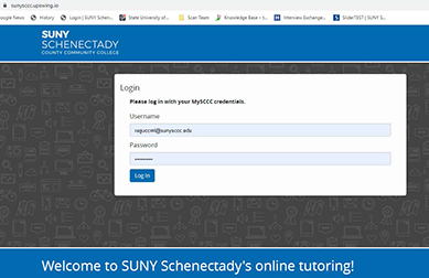 Login screen for online tutoring