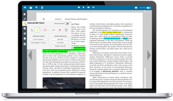 Mockup illustration of what Kurzweil's tool would look like when used on a text document open on a laptop. Words in the text are highlighted and an instructional pop-out box is on the left of the screen.