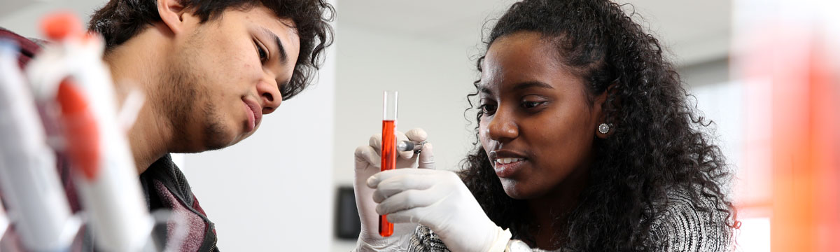 Two students in a science lab look at colored liquid in a test tube.